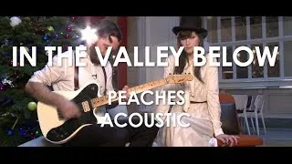 In The Valley Below - Peaches - Acoustic [ Live in Paris ]