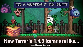 Weirdest and Newest..? Terraria 1.4.3 items to obtain ─ Good luck getting these...