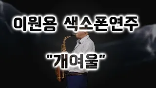 [박각규 레슨]이원용 색소폰연주 "개여울"(원색소폰)