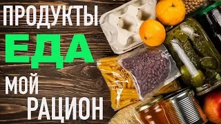 МОЁ ПИТАНИЕ +бонус! рассказ о ВРЕДНЫХ продуктАХ