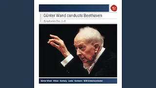 Symphony No. 7 in A Major, Op. 92: III. Presto