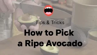 How To Pick A Perfectly Ripe Avocado | Chef Daniel Holzman | Project Foodie