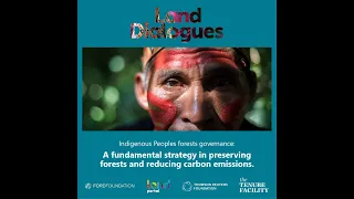 Indigenous Peoples forests governance: a fundamental strategy