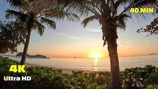 Virtual Run Tropical Beach - Palm Cove 4K - Running Video - Virtual Scenery - Australia Walking Tour