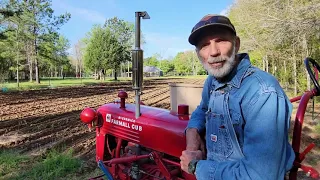 NO Weeds! Plowing a Corn Field using Cub FARMALL Tractor (March 2024)