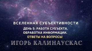 Игорь Калинаускас «Вселенная субъективности. День пятый». Ответы на вопросы.