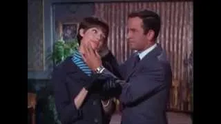 Tribute to Agent 99 (Get Smart)