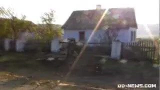 Лисиці тероризують населення Новоукраїнки