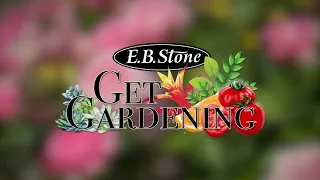 EB Stone Gardening Quick Tip: Roses 2021