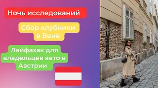 Влог: ночь исследований в Вене || Сбор клубники в Австрии 🇦🇹 || Лайфхак для владельцев авто 🚗