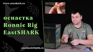 Оснастка EastShark Ronnie RIG