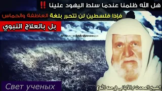 Как спасти Палестину от иудеев?Есть только один путь.Шейх аль-Альбани