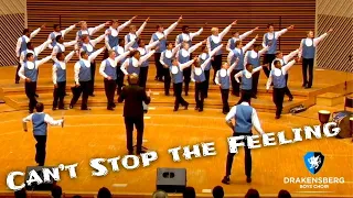 Drakensberg Boys Choir performs "Can't stop the feeling" (Live in Japan)