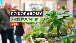 "По копаному". Хижі рослини