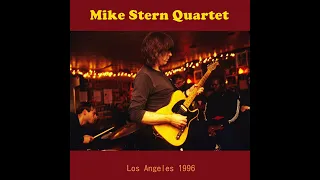 Mike Stern Wing And A Prayer 1996