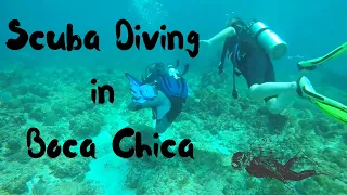 Scuba Diving in Boca Chica, Dominican Republic!