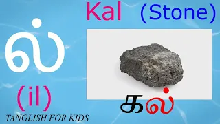 Tamil consonants compilation with printable lesson and worksheets for kids தமிழ்  மெய்யெழுத்துக்கள்