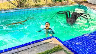 TOMEI BANHO DE PISCINA COM BICHOS HORRÍVEIS DENTRO UMA ARANHA E UM BICHO PAU GIGANTE ! FAMÍLIA ROCHA