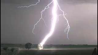 Lightning Striking Tree in 4K - Tree Catches on Fire !!!