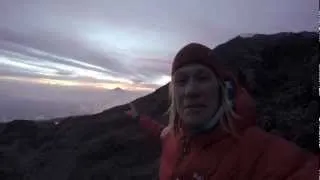 Squash Falconer - Wings of Kilimanjaro 2013