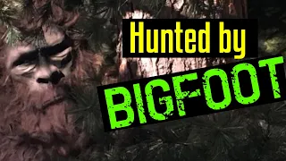 Hunted by Bigfoot - One Birdwatcher's Tale. Plus Ohio and Pennsylvania Goings on!