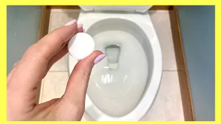 GENIUS Way to Clean Toilet Scum!! (Cleaning Hacks for Lazy People ) | Andrea Jean