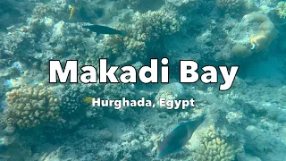 Snorkeling in Makadi Bay - Hurghada - Egypt