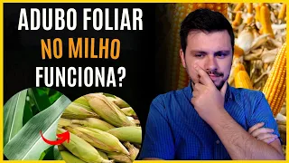 Qual ADUBO FOLIAR usar na cultura do MILHO. Funciona mesmo?