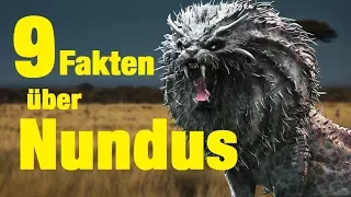 9 FAKTEN über NUNDUS