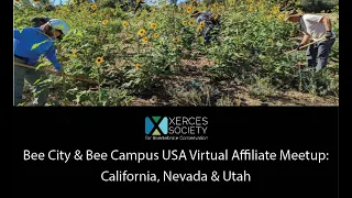 Bee City & Bee Campus USA Virtual Affiliate Meetup: California, Nevada & Utah