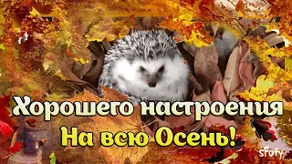 Пусть в душе не будет грустно! Хорошего настроения на всю Осень!