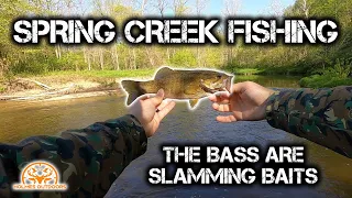 Spring Creek Fishing - Bass are SLAMMING the Baits!!