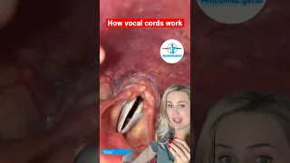 How the vocal cords make sound!