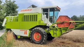 Claas Dominator 88s Żniwa 2022