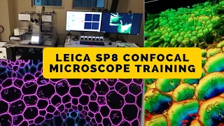 Leica SP8 Confocal Microscope Training Video