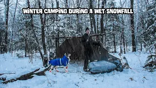 Winter Camping During A Wet Snowfall With My Dog