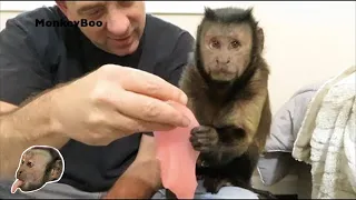 Monkey Slime Fun!