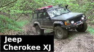 Jeep Cherokee XJ on forest trail