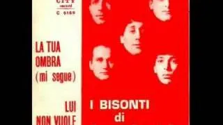 I Bisonti di Bruno Castiglia - La tua ombra (mi segue) 1967