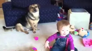 Смешные малыш и собака | Funny kid and a dog