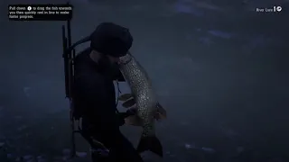 Nice fishing video [red dead 2 online] best location for big fish (no commentary)
