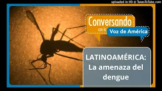 América Latina en alerta roja por el aumento récord de casos de dengue