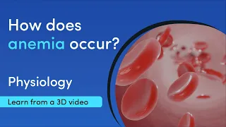 What is anemia? | MediMagic | Learn with 3D videos