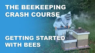 Your First Month As A Beekeeper - Beekeeping Basics Part 2 - Beekeeping Crash Course