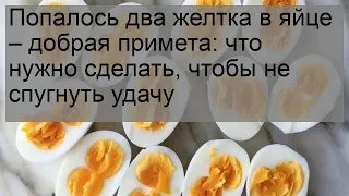 Попалось два желтка в яйце – добрая примета: что нужно сделать, чтобы не спугнуть удачу