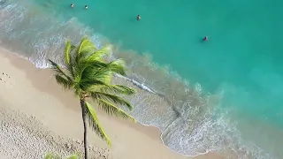 Beach Free Video 4K  - No Copyright