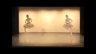 The Sleeping Beauty - Excerpts from Act 3 of Alexei Ratmansky's reconstruction