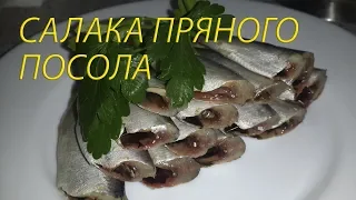 САЛАКА ПРЯНОГО ПОСОЛА / быстро и вкусно!