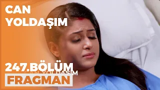 Can Yoldaşım 247. Bölüm Fragmanı - 3 Nisan Pazar