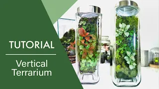 HOW TO MAKE A VERTICAL TERRARIUM